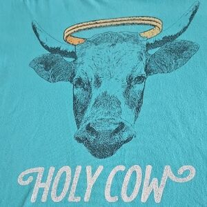 Kid Dangerous Men's Holy Cow Crew Neck T-Shirt Large